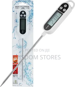 Digital Roasting Thermometer