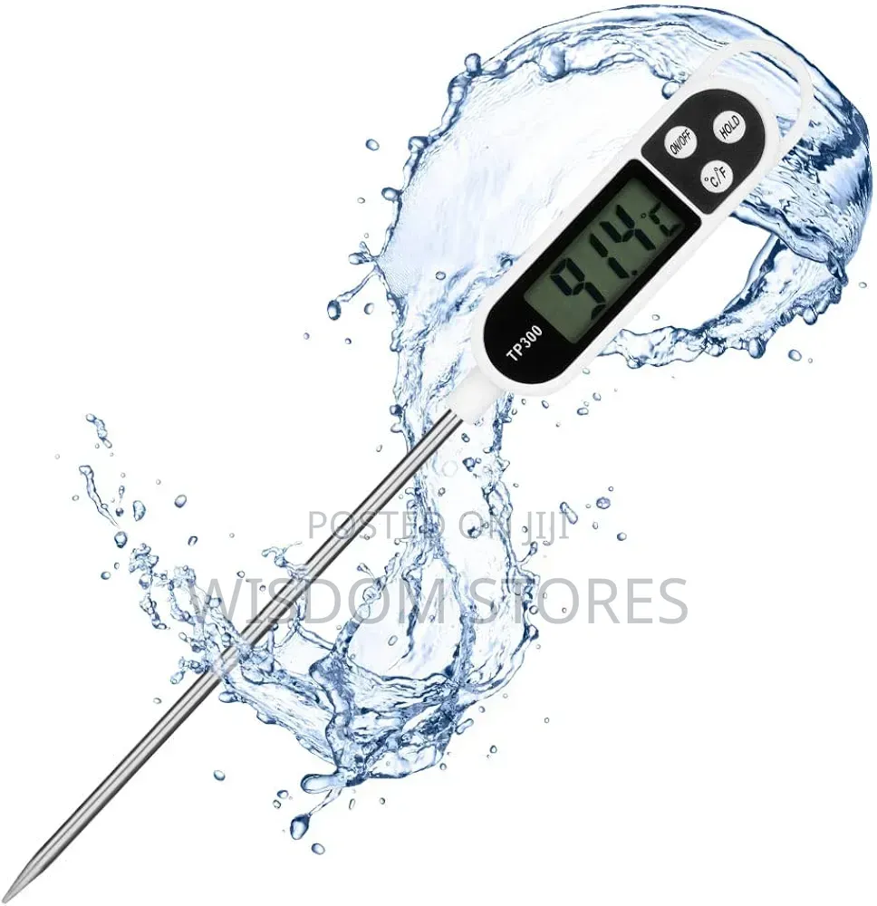 Digital Roasting Thermometer