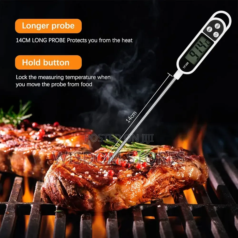 Digital Roasting Thermometer