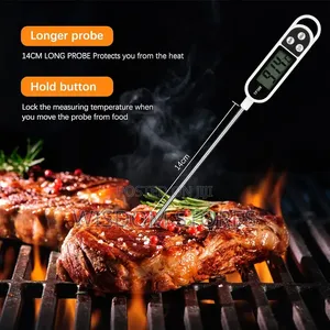 Digital Roasting Thermometer