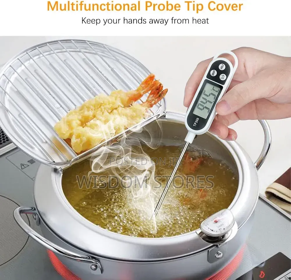 Digital Roasting Thermometer