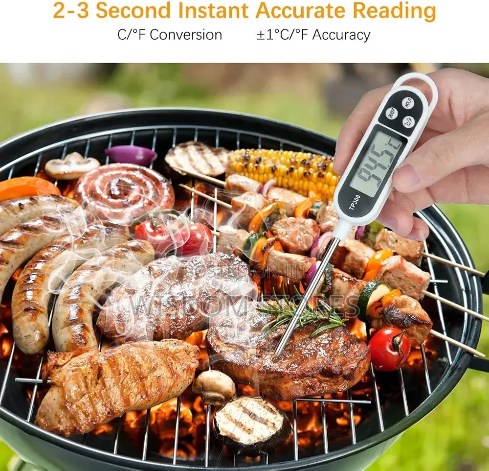 Digital Roasting Thermometer