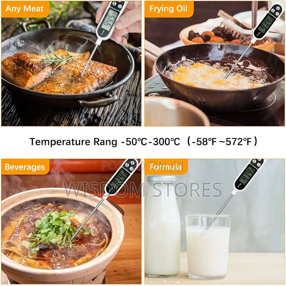 Digital Roasting Thermometer
