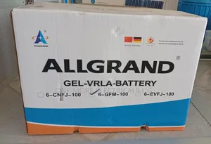 Allgrand Batteries 100ah/12volts