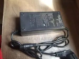 Hoverboards Chargers