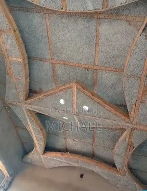 Roofing and Ceiling Designing