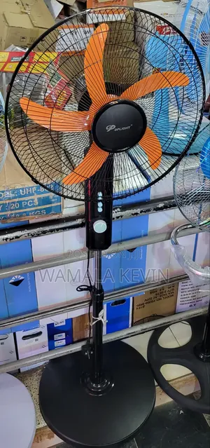DPLight Standing Fan