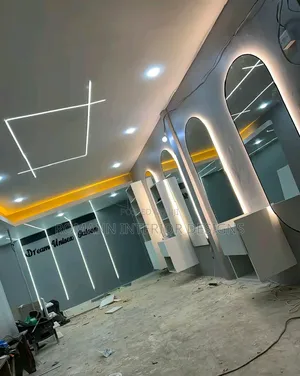 Saloon Mirrors and Ceiling Design