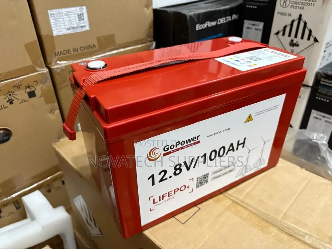 Brand New 12.8V 100Ah GoPower Lithium Battery –