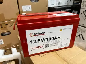 Brand New 12.8V 100Ah GoPower Lithium Battery –