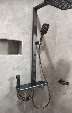 Shower Panels