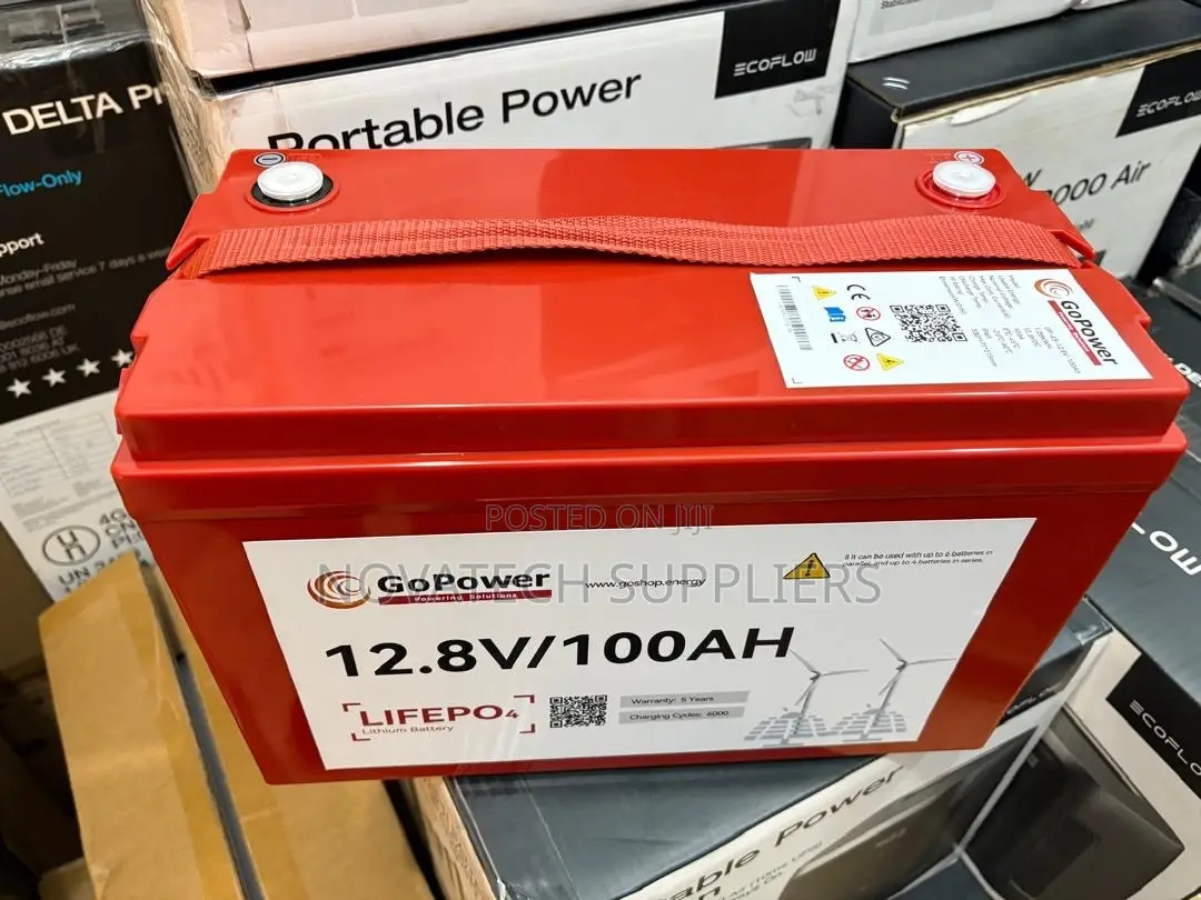 12.8V 100Ah GoPower LiFePO4 Battery for Off-Grid Solar Systems