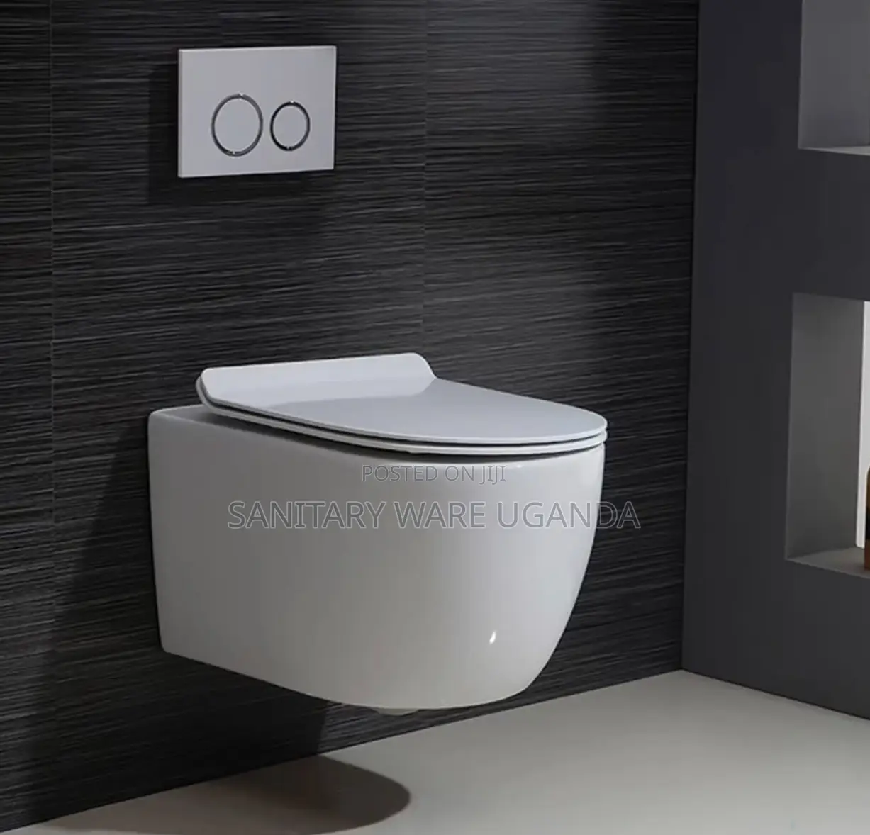 Concealed Toilet Seats