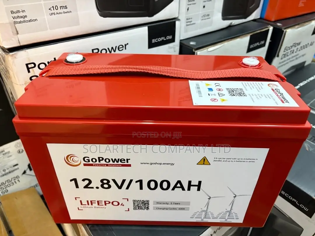100Ah GoPower LiFePO4 Battery 12.8V for Solar Backup Power Red Color