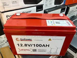 100Ah GoPower LiFePO4 Battery 12.8V for Solar Backup Power Red Color