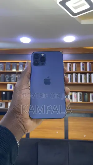 Apple iPhone 12 Pro Max 256 GB Blue