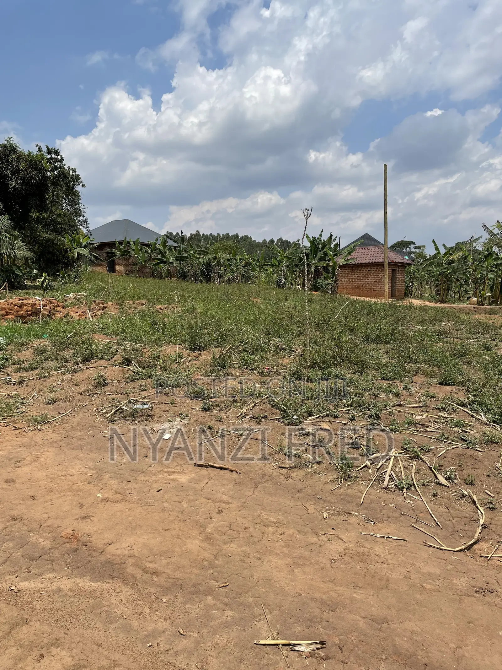 Land for Sale