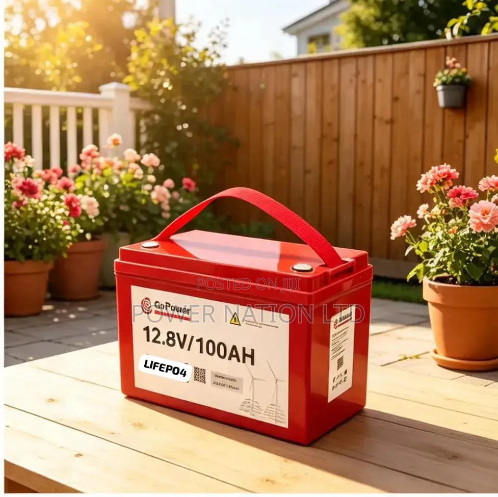 GoPower 12.8V 100Ah Hard Power LiFePO4 Lithium Iron Phosphate Battery.