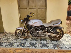 Kawasaki 2009 Silver