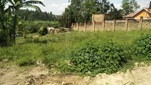 20 Decimals in Namugongo, Near Uganda Martyrs Secondary School.