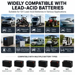 12V Portable Intelligent Pulse Repair Battery Charger and Maintainer