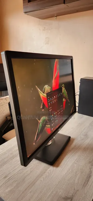 Dell UltraSharp U3014t 30-Inch Monitor 2560×1600 IPS