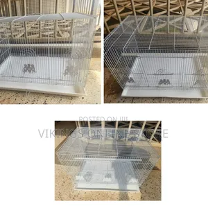 White Rectangular Metal Pet Cage With a Pull-Out Plastic Tray