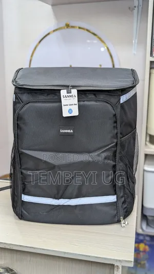Backpack Food Delivery Bag, Insulated, With 2 Dividers