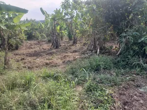 Land Property