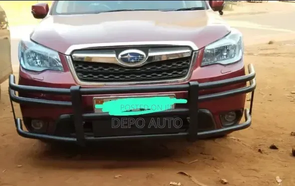 Customized Car Guards