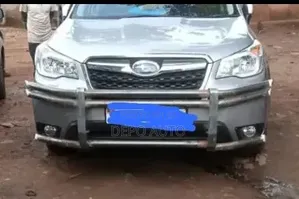 Customized Car Guards