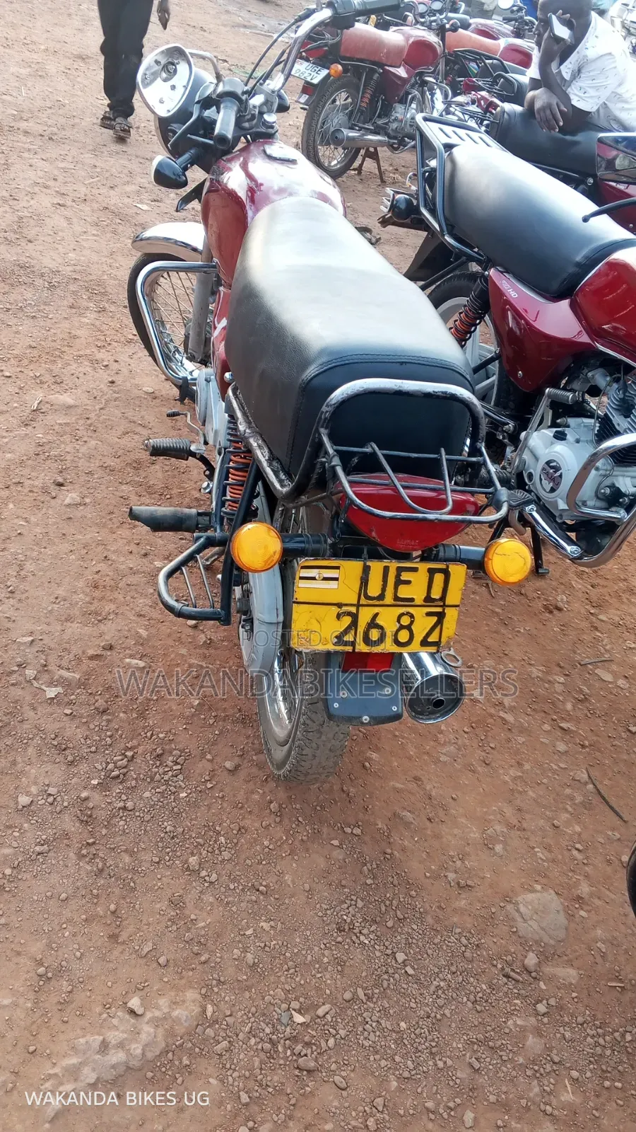Bajaj Avenger 150 Street 2023 Red