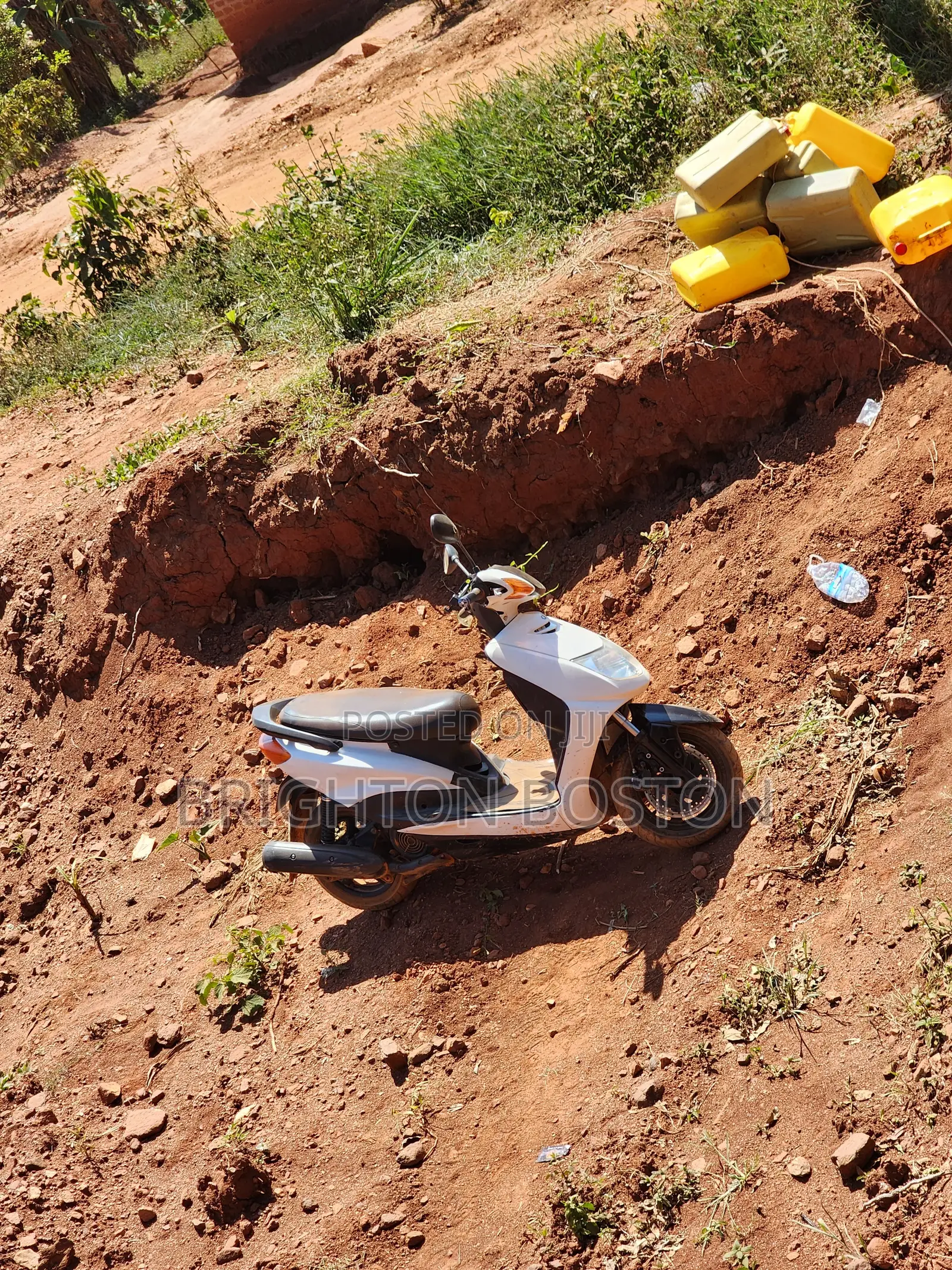Yamaha 2007 White