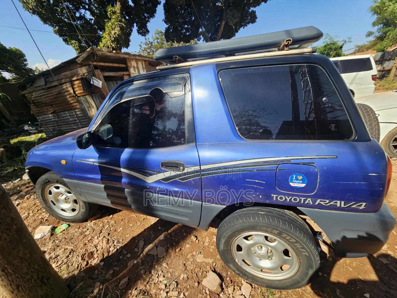 Toyota RAV4 1994 Blue