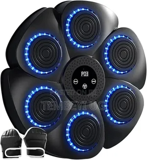 Smart Bluetooth Music Boxing Machine