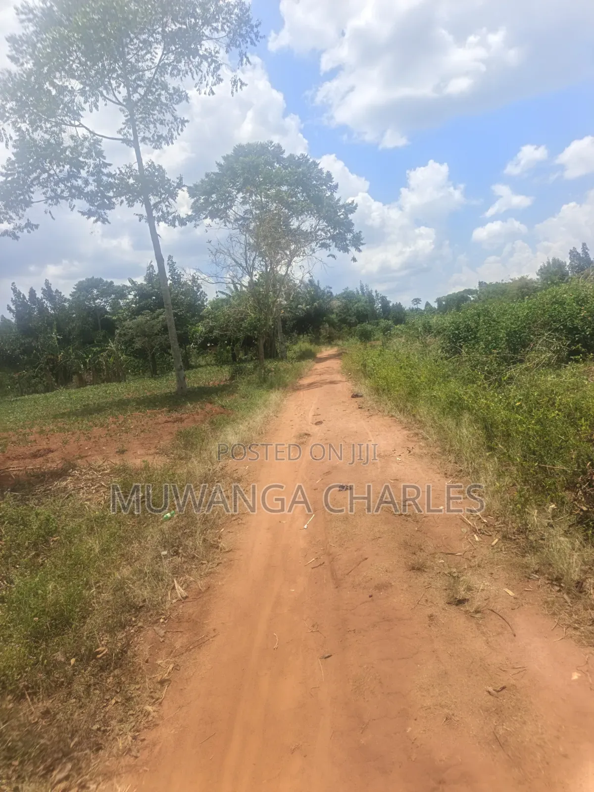 3.5acres on Sale at Zirobwe Kiyiiya