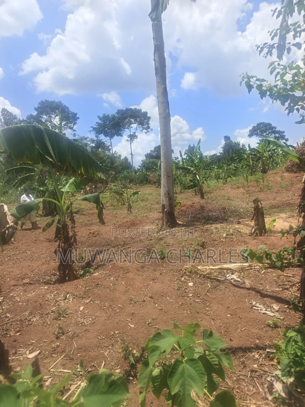 3.5acres on Sale at Zirobwe Kiyiiya