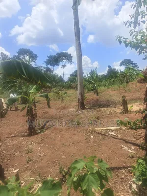 3.5acres on Sale at Zirobwe Kiyiiya