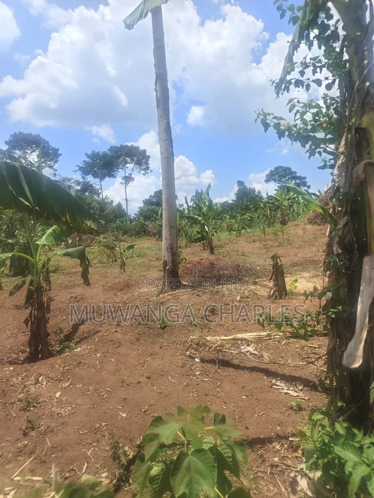 3.5acres on Sale at Zirobwe Kiyiiya