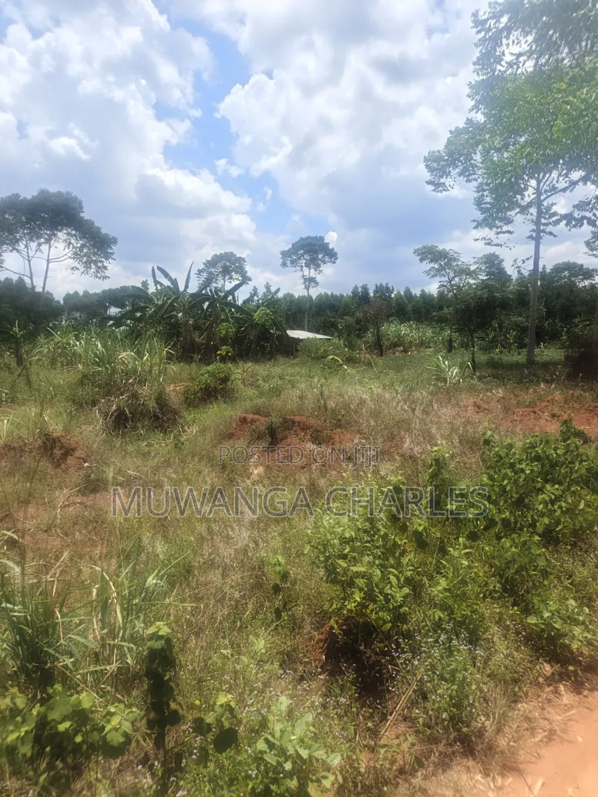 3.5acres on Sale at Zirobwe Kiyiiya