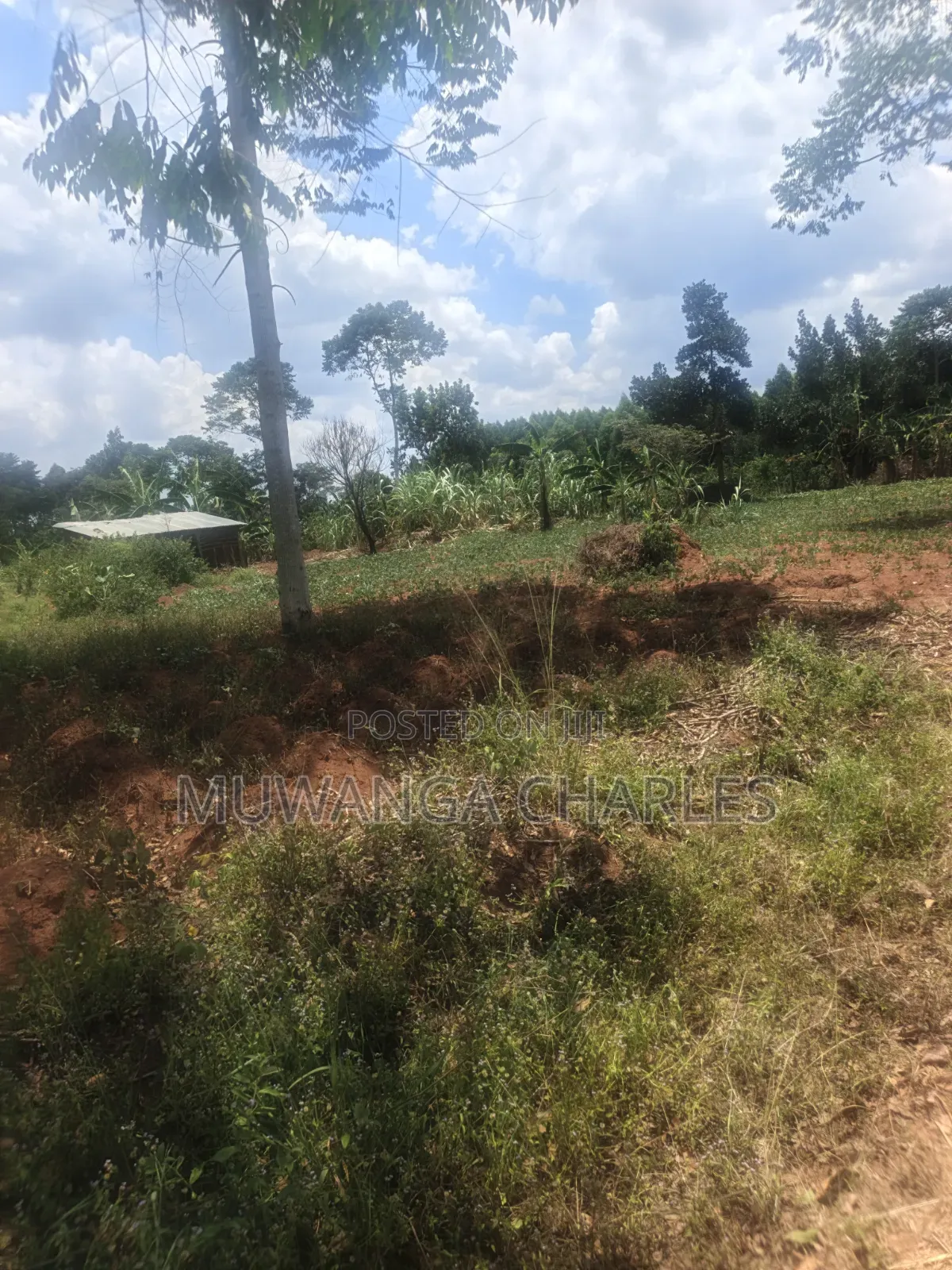 3.5acres on Sale at Zirobwe Kiyiiya