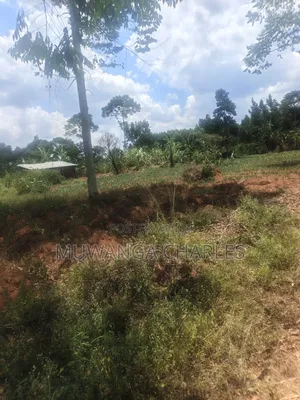 3.5acres on Sale at Zirobwe Kiyiiya