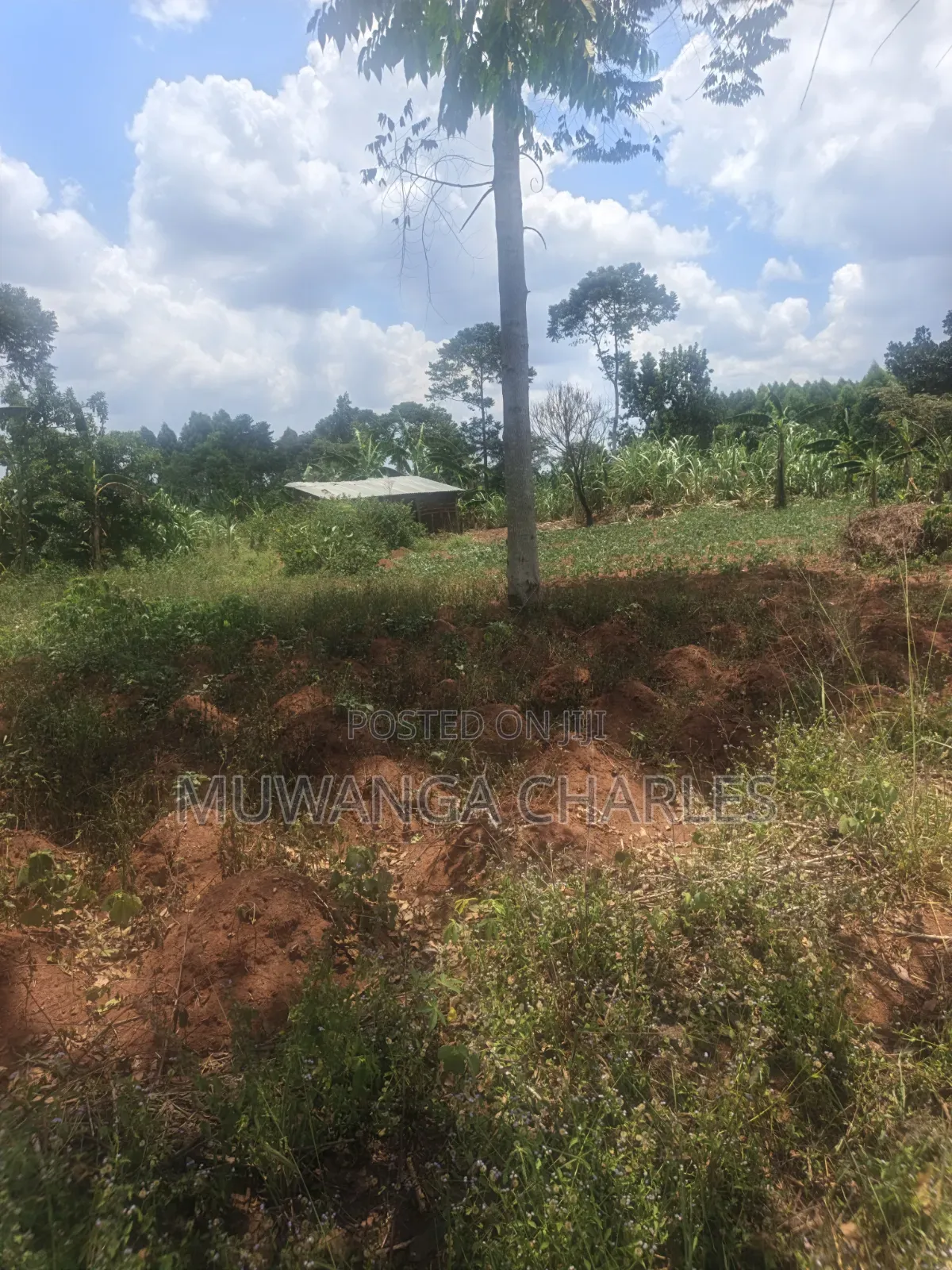 3.5acres on Sale at Zirobwe Kiyiiya