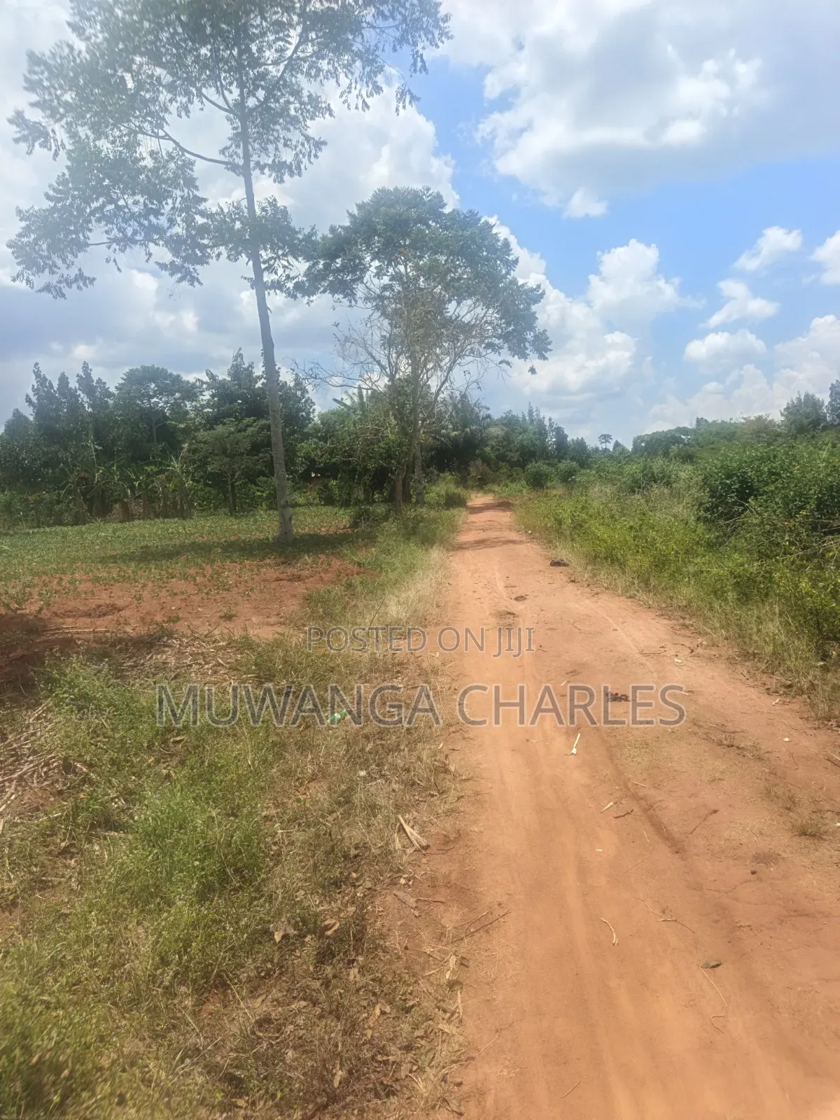 3.5acres on Sale at Zirobwe Kiyiiya