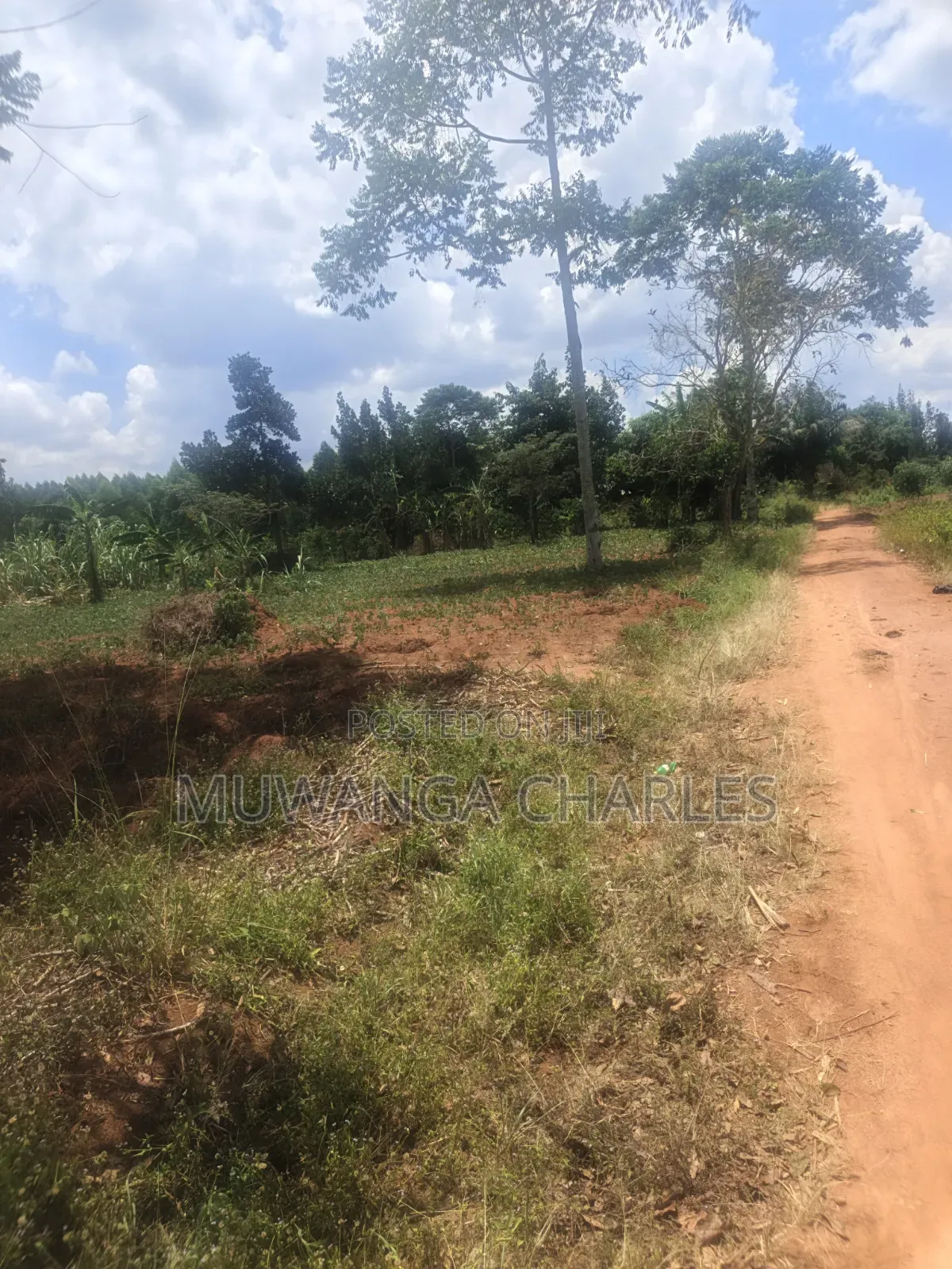 3.5acres on Sale at Zirobwe Kiyiiya