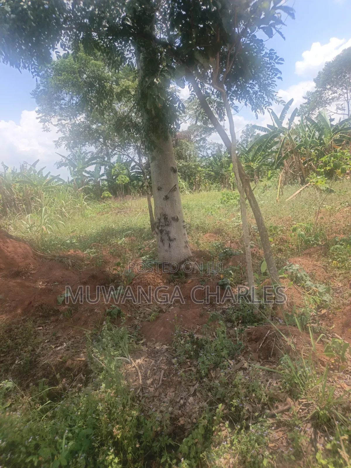 3.5acres on Sale at Zirobwe Kiyiiya