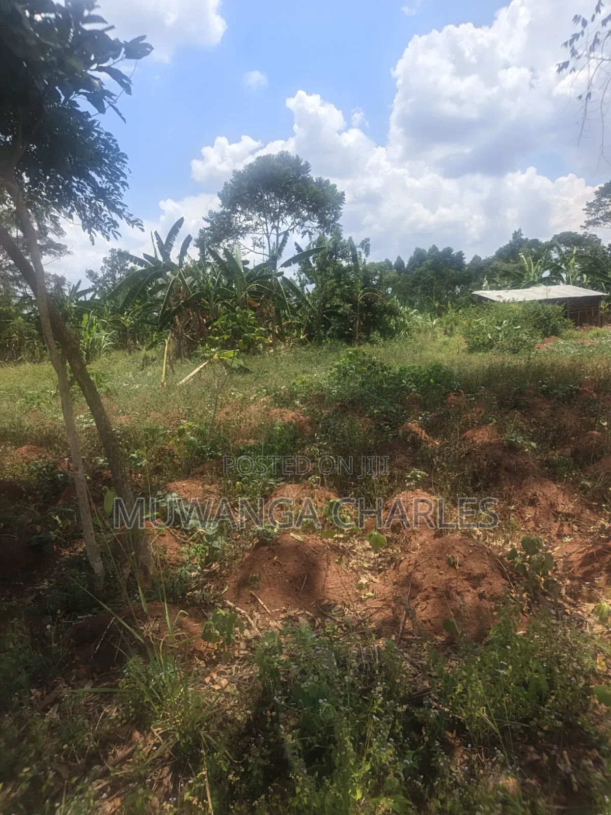 3.5acres on Sale at Zirobwe Kiyiiya