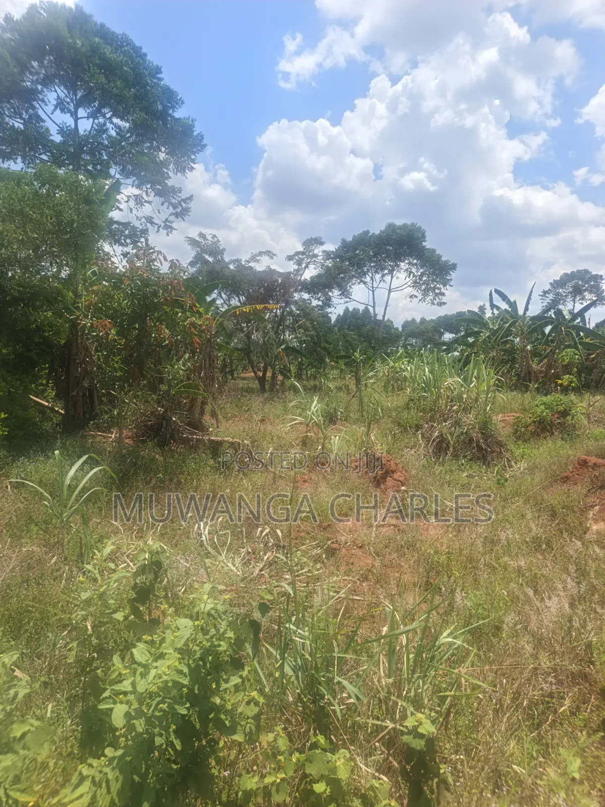 3.5acres on Sale at Zirobwe Kiyiiya