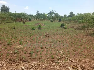 Plot for Sell Gayaza Kiwenda 25m