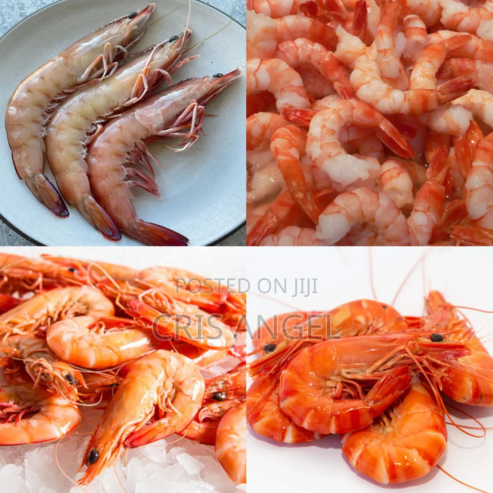 Shrimps Seafoods